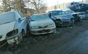 Img-20200117