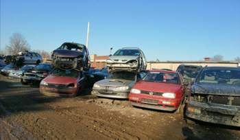 Img-20200117