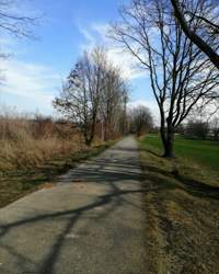IMG_20200326_154437.jpg