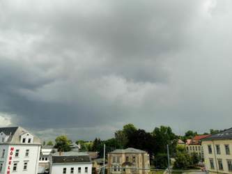 IMG_20200629_150705.jpg