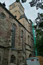 IMG_20200724_070849.jpg