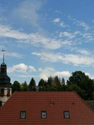 IMG_20200727_134958.jpg