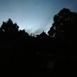 Img-20200728