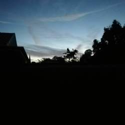 Img-20200728