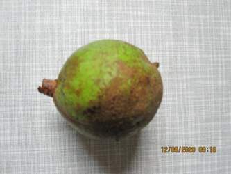 Img