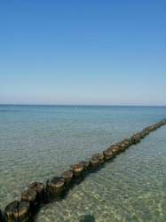 IMG-20200923-WA0008.jpg