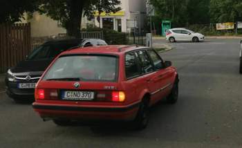 IMG_20201002_165013.jpg