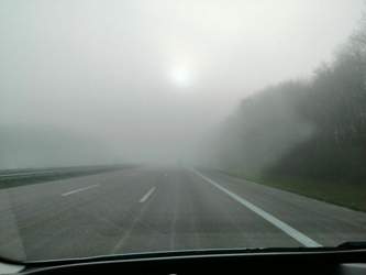 IMG_20201126_113331.jpg