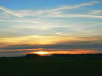 IMG_20201214_155656.jpg