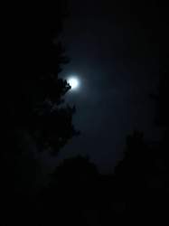 Img-20210101
