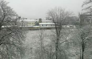 IMG_20210103_100049.jpg