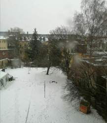 IMG_20210119_160547.jpg