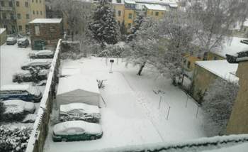IMG_20210124_083356.jpg