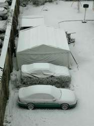 IMG_20210130_091216.jpg