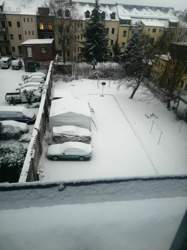 IMG_20210207_073349.jpg