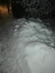 Img-20210208