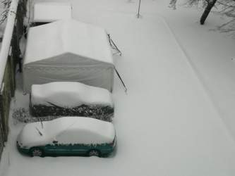 IMG_20210208_081204.jpg