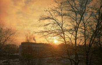 IMG_20210212_081503.jpg