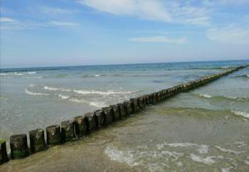 Img-20210907