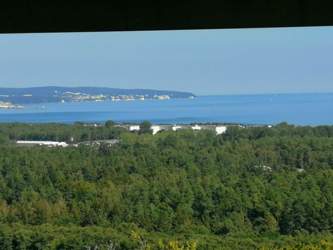 IMG_20210908_122436.jpg