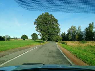 Img-20210924