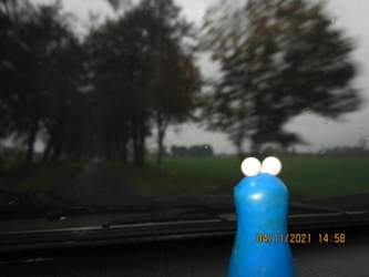 Img