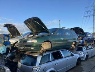 B44bd95d-5856-4891-ab2a-746b706f1cbb
