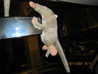 Img
