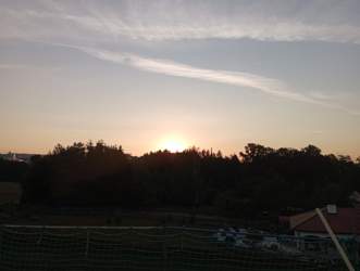 IMG_20220817_062537.jpg