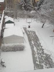 IMG_20230122_104841.jpg