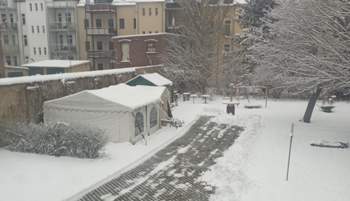 IMG_20230122_145202.jpg