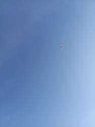 Img-20230216