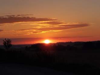 Img-20230811