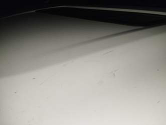 IMG_20231109_170322.jpg