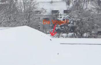 Vogel2