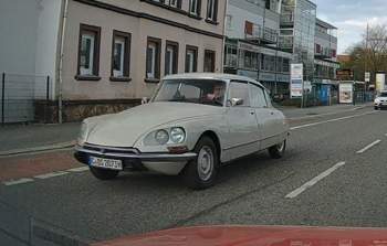 585