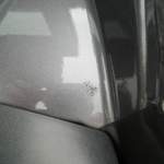 Img-1610