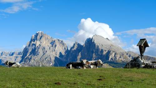 Blick aus der Alm