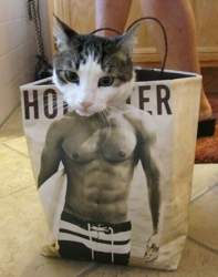 Muskelkater