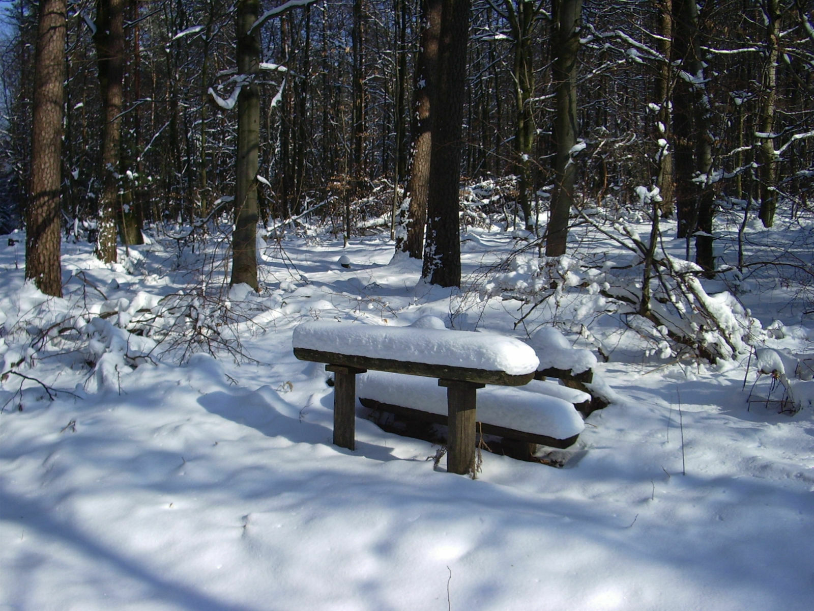 Der ultimative Off-Topic-Blog