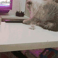 Tumblr-njkgn6gkzi1s2yegdo1-400