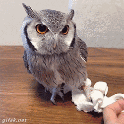 Tumblr-nfyqfzi3821s2yegdo1-400