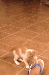 Tumblr-nbh76fg7qv1s2yegdo1-r1-400