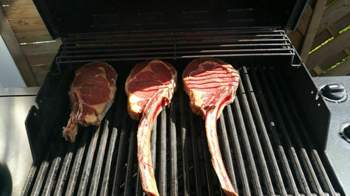 Tomahawk