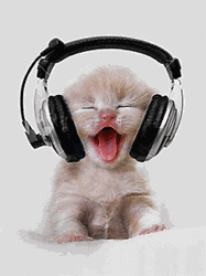 Kopfho-rer-cats
