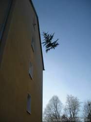 Dscn1232