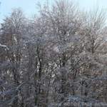 Img-0064-30