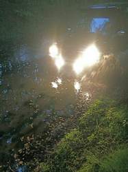 Img-7560