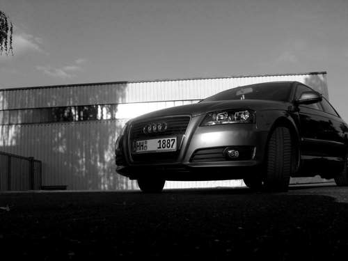 Audi-sw11
