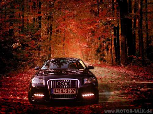 Autumn-road2